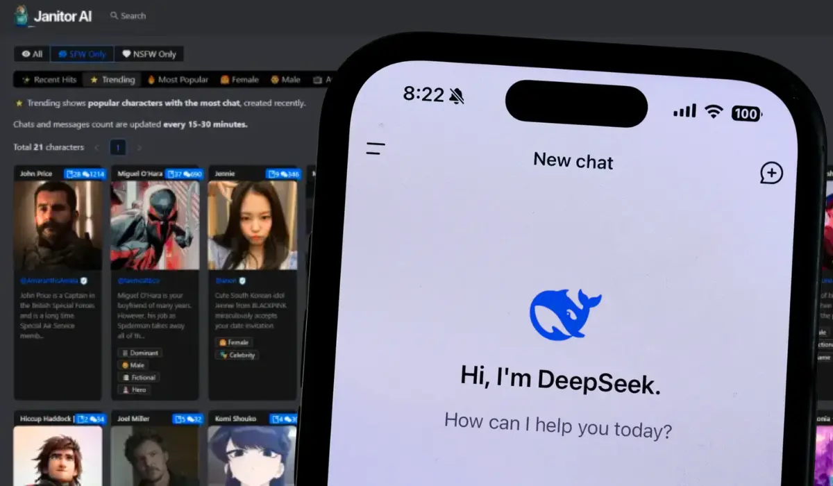 How to use DeepSeek on Janitor AI step by step